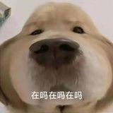 不露姓名刘亦菲