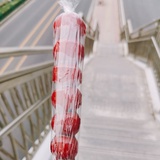 一个小尾巴