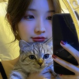 皮皮酱