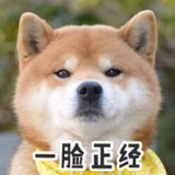 只想当一条咸鱼