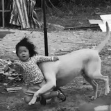 哔哔赖赖床床子