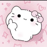 猫猫全是坏心思