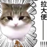 唐可可