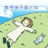 可可请走吧