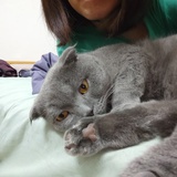 代糖炒板栗