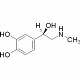 肾上腺素