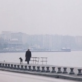 Lahojarasca_