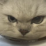 岚宸