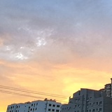 今天看剧