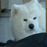 稀里划啦