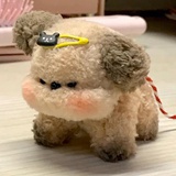 贴贴甲斐翔真