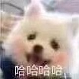 小P