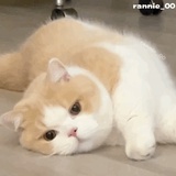 共产主义接班人