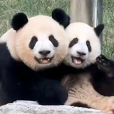 马上赚大钱
