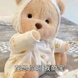 在想你啊宝