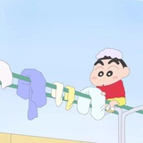 不实