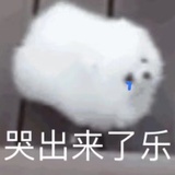 kcll