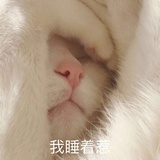 怕黑的核心价值