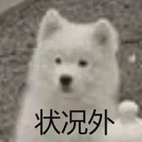 真不嗑了