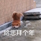 元来爱你