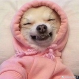 社恐