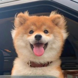 明明如月