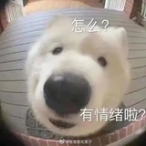 INTO1-胡宇桐