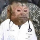 哦莫莫莫