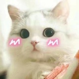 宠爱