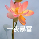 少对我狗叫