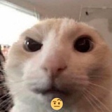 小狗拉屎