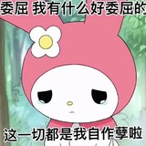 今天学习了吗