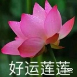 丫蛋（修仙版）