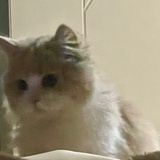 睡不着