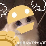 明日花（已上岸