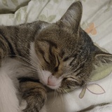 就不就不气死你