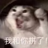 阿尔卑微