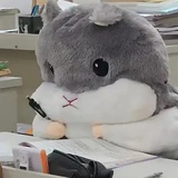 你猜不到