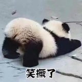莫挨老子