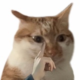 西西不嘻嘻