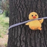 止语