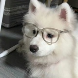 卧槽你快删了吧