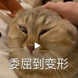 饼干达人