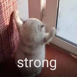 蜜封