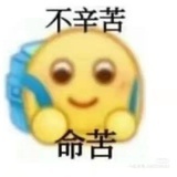 恒心(booming)