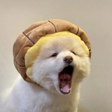 火火