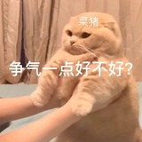 等夏