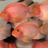 窝肚子饿饿