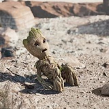 Groot