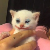 坏齒